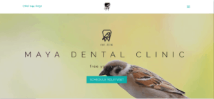 Maya Dental Clinic Website